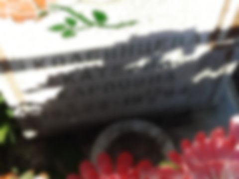 Колбинцева Екатерина Карповна