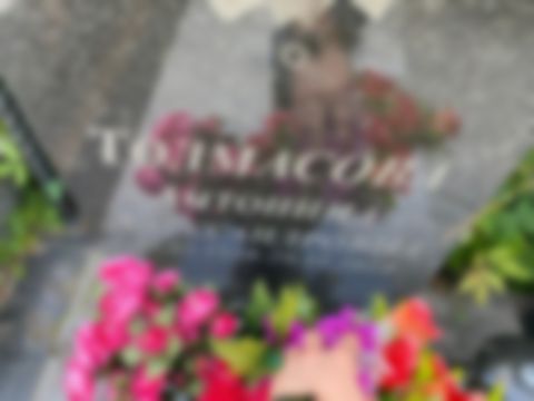 Толмасова Антонина Александровна