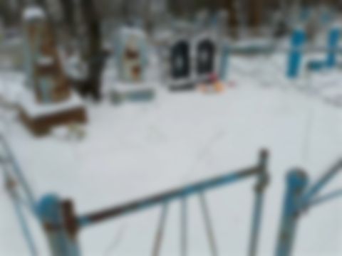 Елькина Людмила Львовна