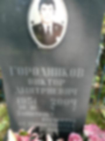 Городников Виктор Дмитриевич